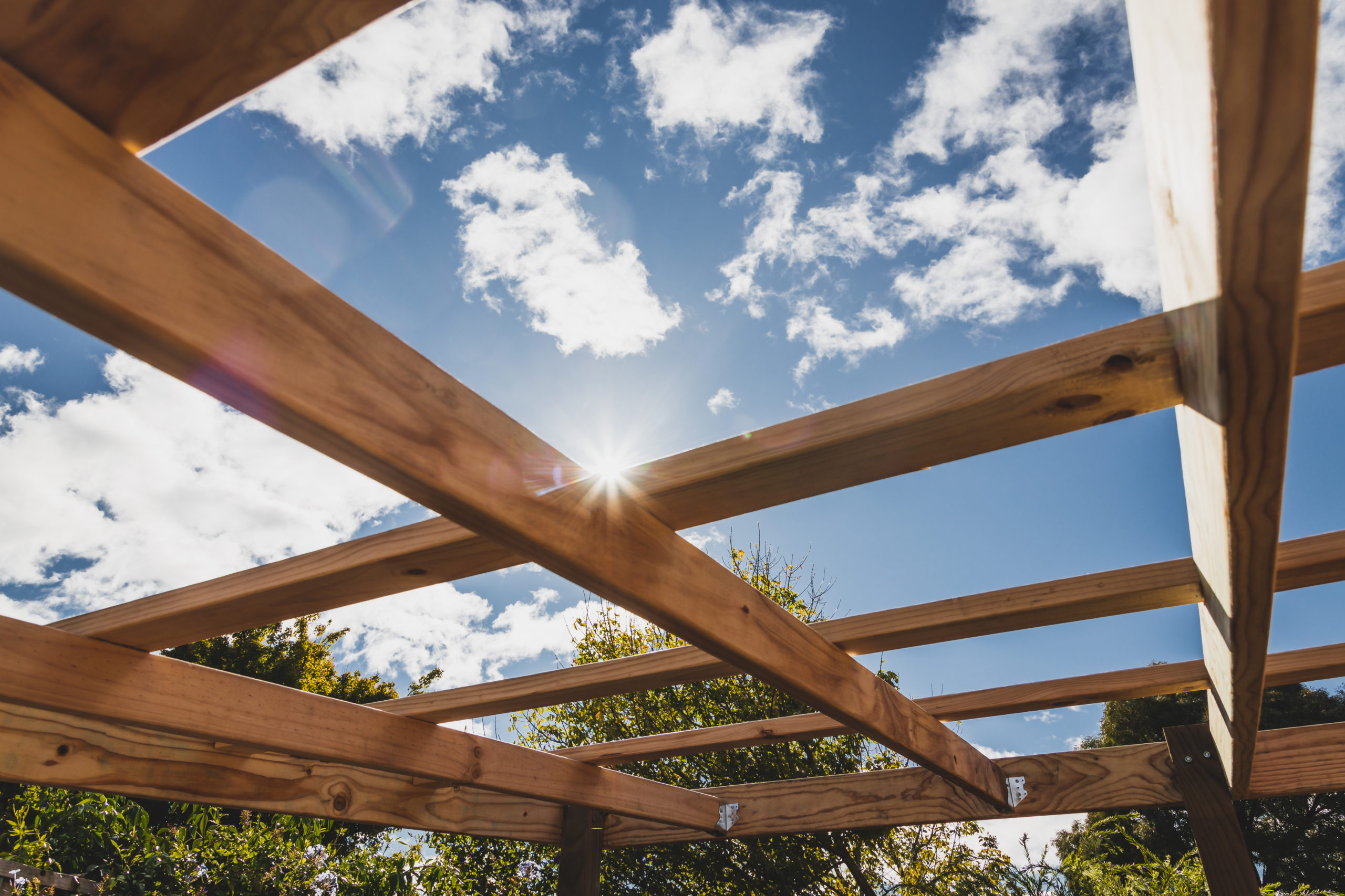 The Best Pergola Roof Cover Ideas for Texas WeatheR - PolymerOutdoor